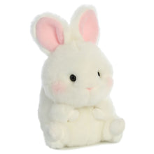 Load image into Gallery viewer, Aurora - Rolly Pet - 5&quot; Bunbun Bunny
